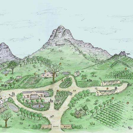 Rozendal Stay Stellenbosch Ngoại thất bức ảnh
