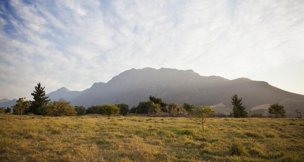 Rozendal Stay Stellenbosch Ngoại thất bức ảnh