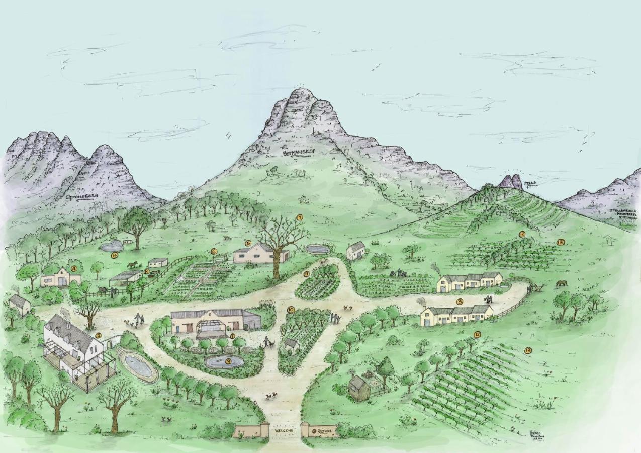 Rozendal Stay Stellenbosch Ngoại thất bức ảnh