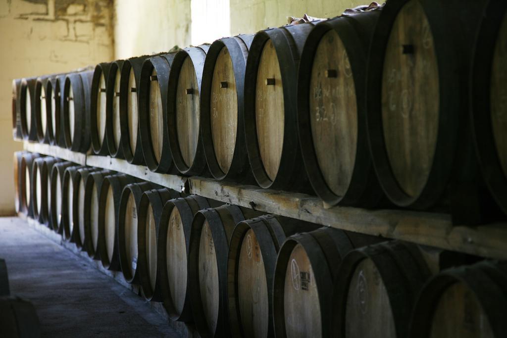 Rozendal Stay Stellenbosch Ngoại thất bức ảnh