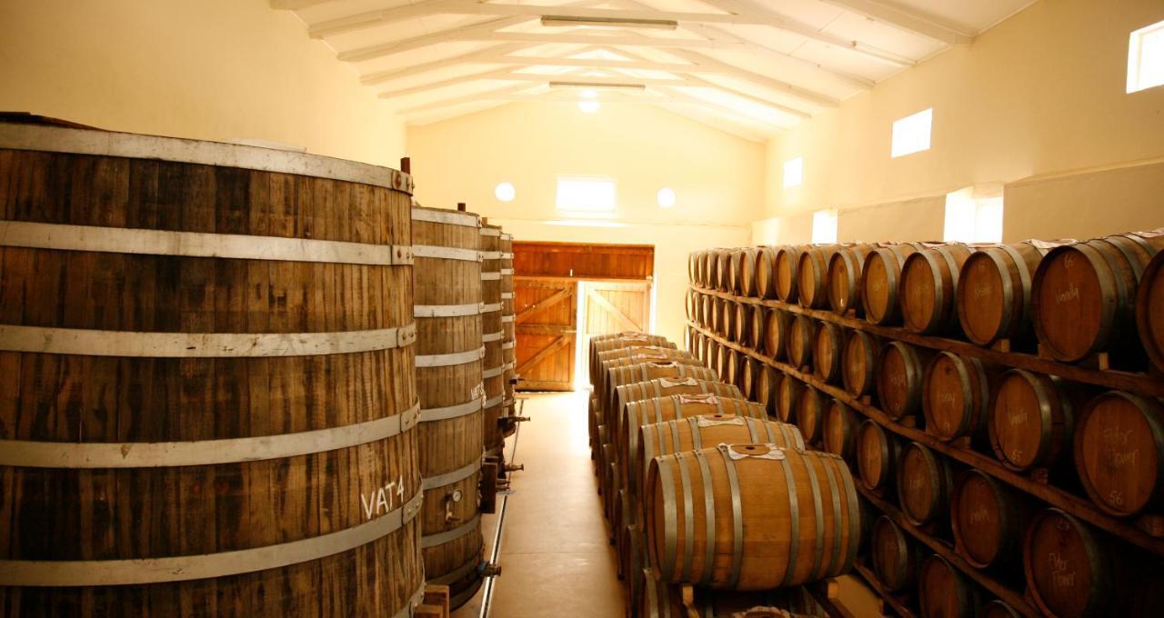 Rozendal Stay Stellenbosch Ngoại thất bức ảnh