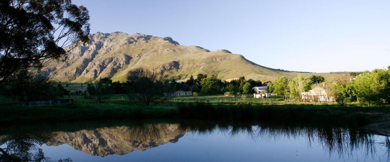 Rozendal Stay Stellenbosch Ngoại thất bức ảnh